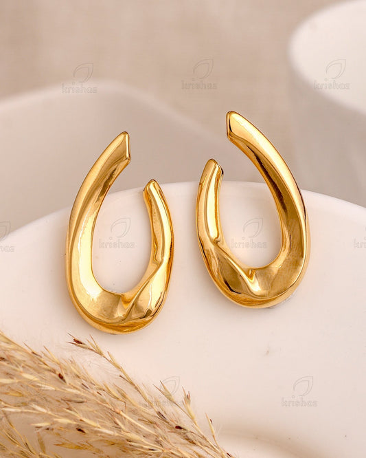 Aleyna Fashionable Stud Earrings